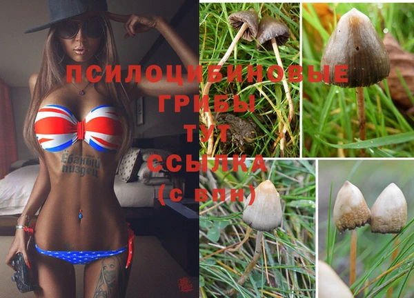 прущий лед Беломорск